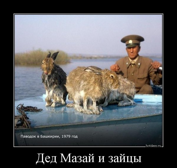 Лесник спасает Зайцев