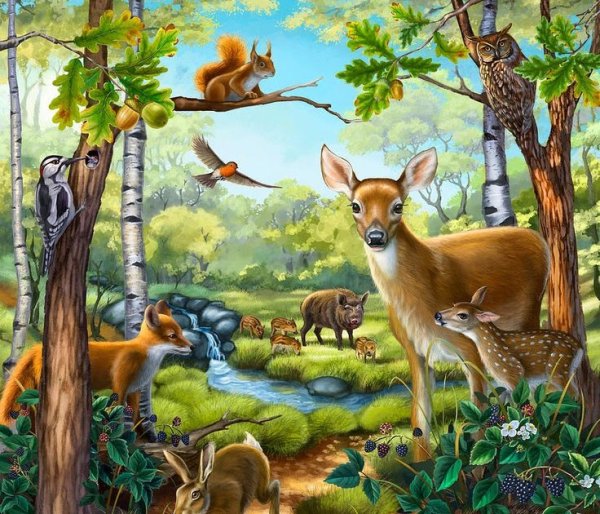 Лес с животными для детей