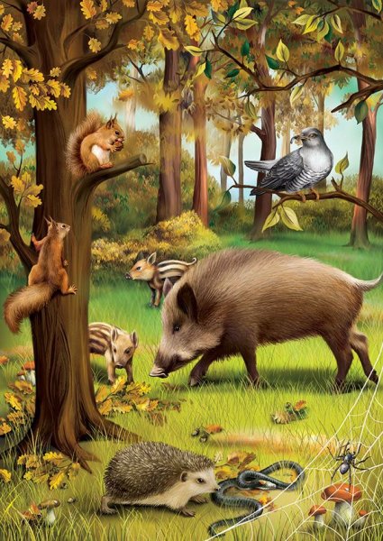 Лесные животные