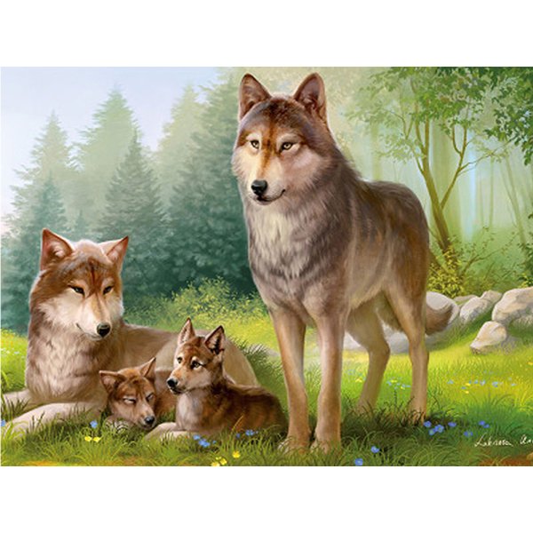 Алмазная мозаика семейство Волков