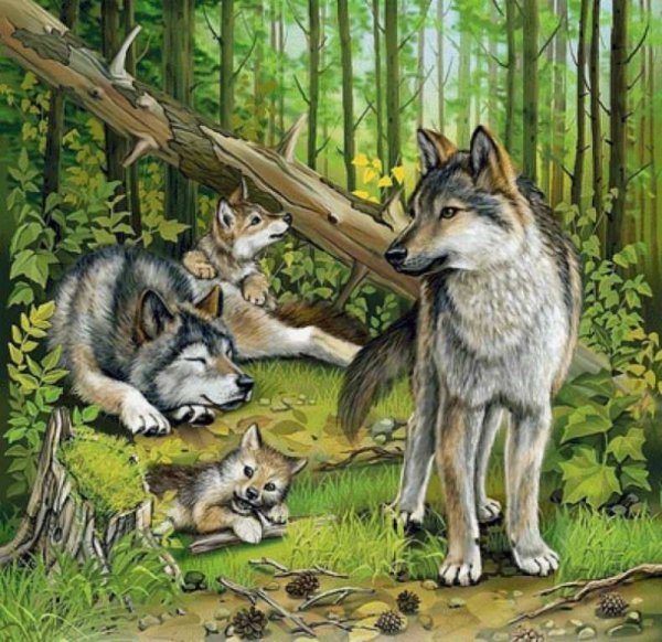 Волк волчица Волчонок семья