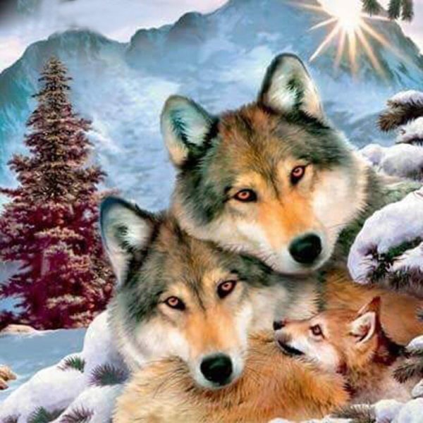 Волк волчица Волчонок семья