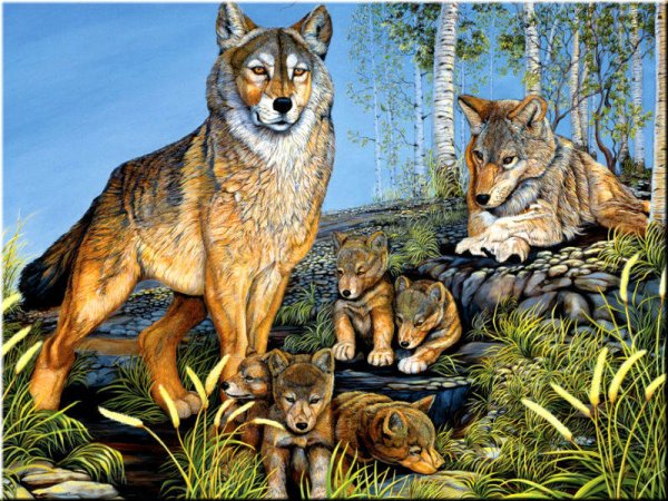 Волчья семья с волчатами