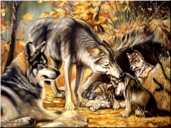 Волчья семья, Логово