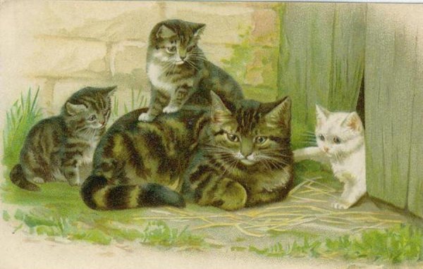 Кошка с котятами