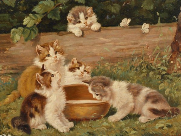 Janet Pidoux художник