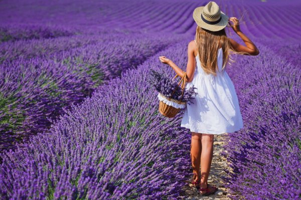 Delta d-9237 "Лаванда"