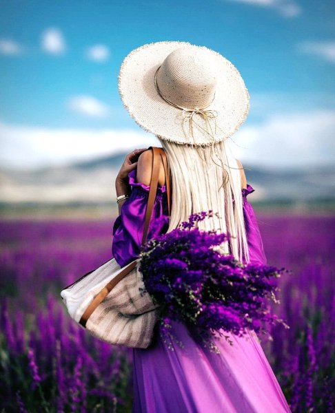 Лавандовое поле. Прованс