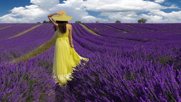 Девушка в лавандовом поле