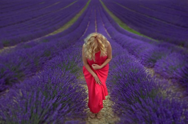 Девочка в лавандовом поле живопись