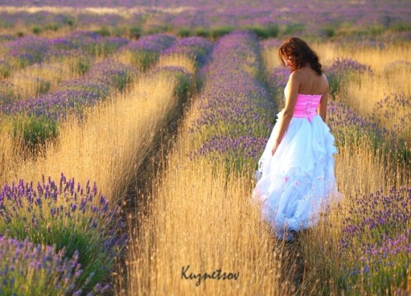 Поле Лаванда девушка с зонтом