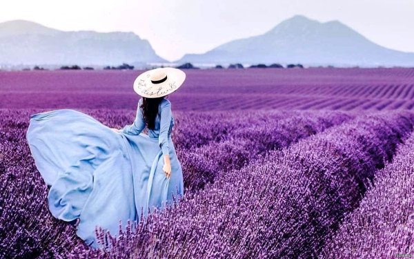 Девушка в лавандовом поле со спины