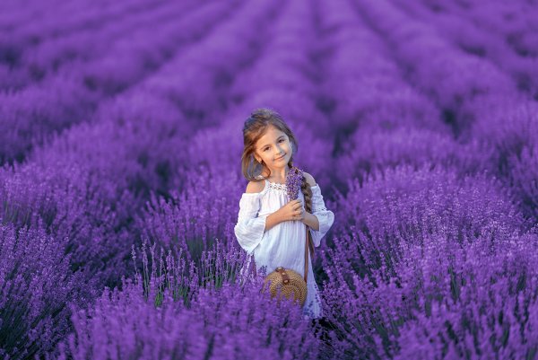Девушка в лавандовом поле