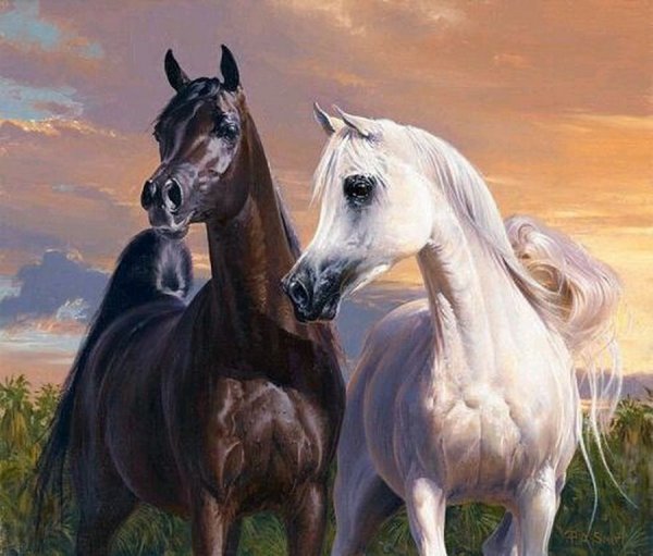 Художница maija индейцы