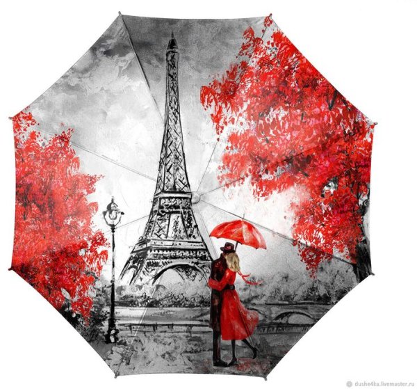 Париж зонтики