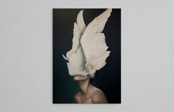 Amy Judd Крылья