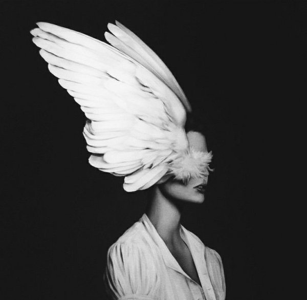 Эми Джадд Крылья