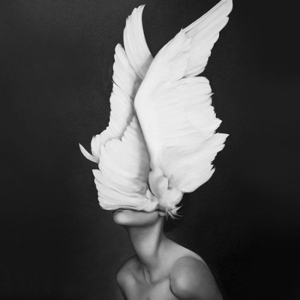 Эми Джадд Крылья