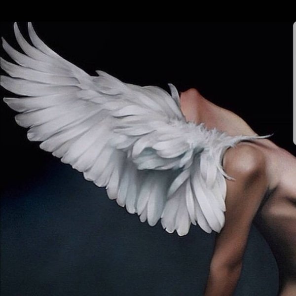 Художница Amy Judd