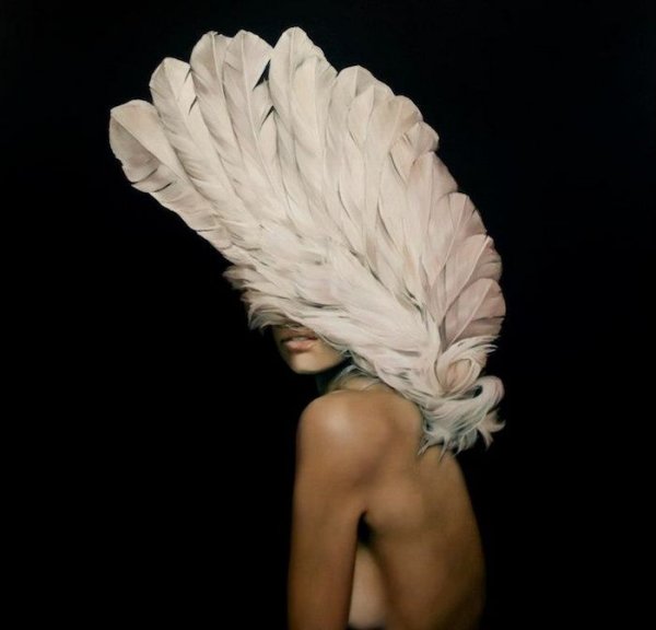 Художник Эми Джадд (Amy Judd)