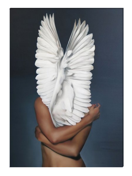 Эми Джадд Крылья