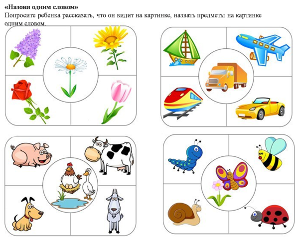 Задания для дошкольников классификация предметов