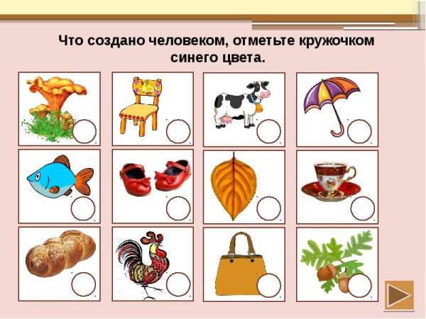 Предметы созданные человеком