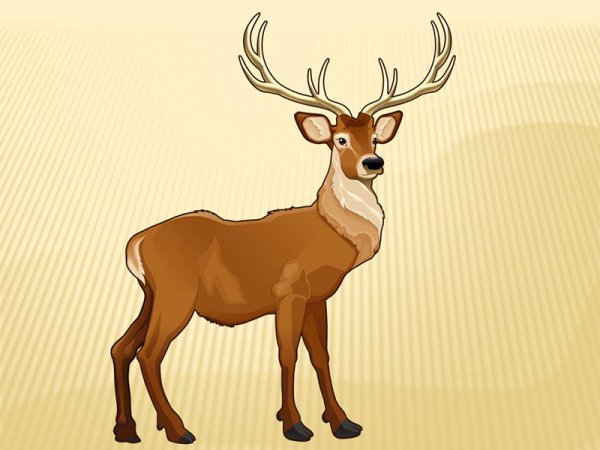 Олень для детей на прозрачном фоне