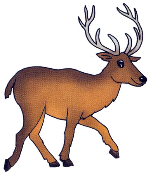 Картинки оленя для срисовки