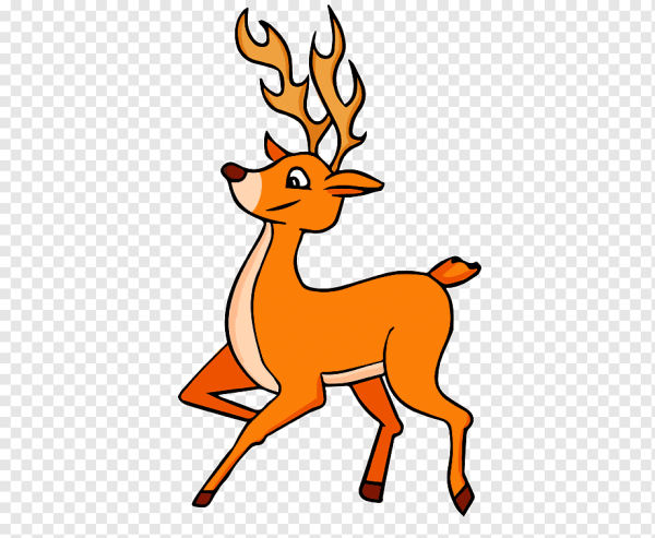 Северный олень для детей