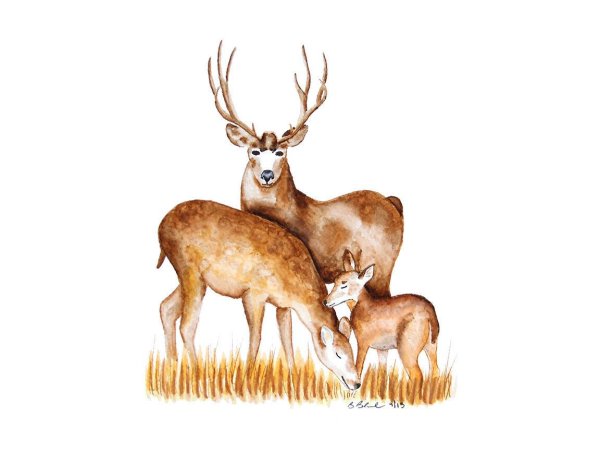 Олень для детей