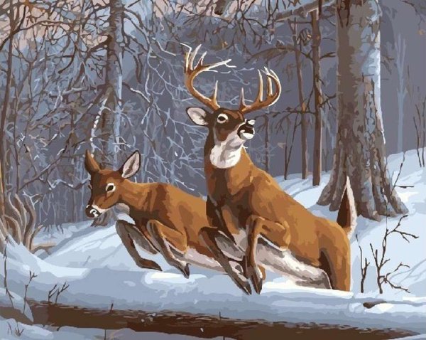 Лесной олень в зимнем лесу