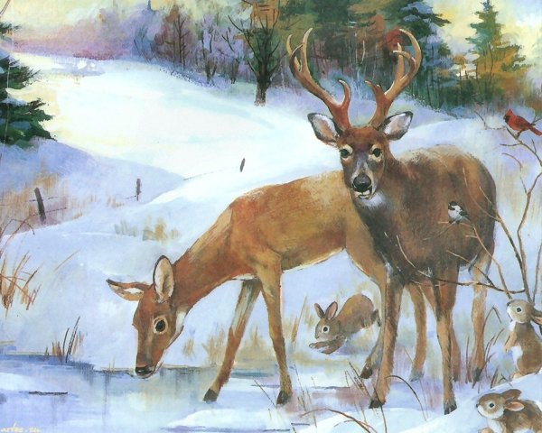 Северная олениха тундра художник