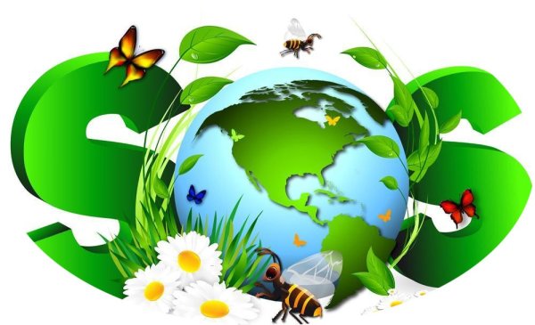 Экологическое воспитание дошкольников