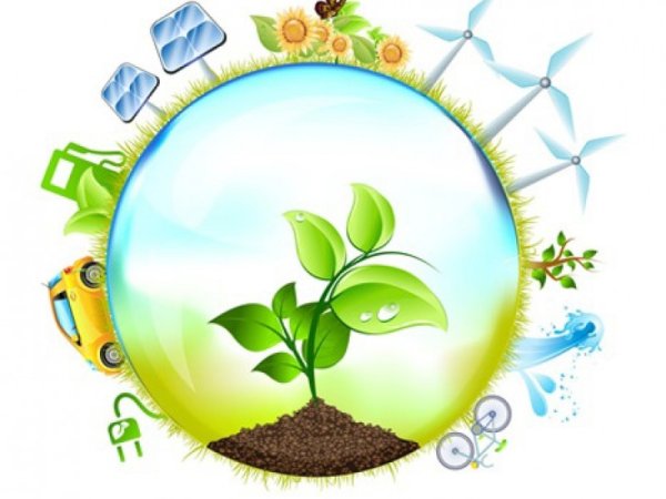 Детям об экологии