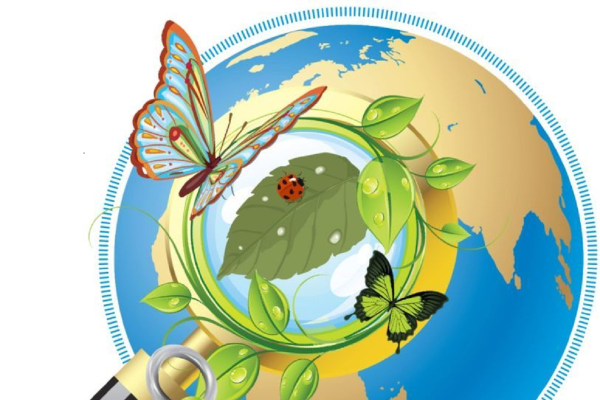 Экология иллюстрация