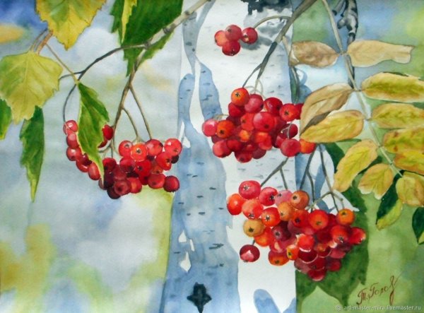 Картина ветка рябины