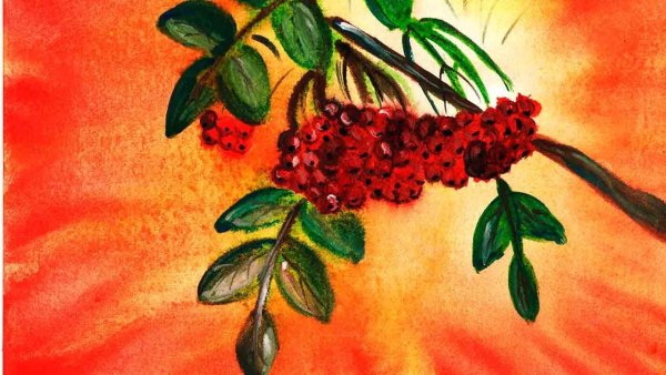 Гроздь рябины акварель