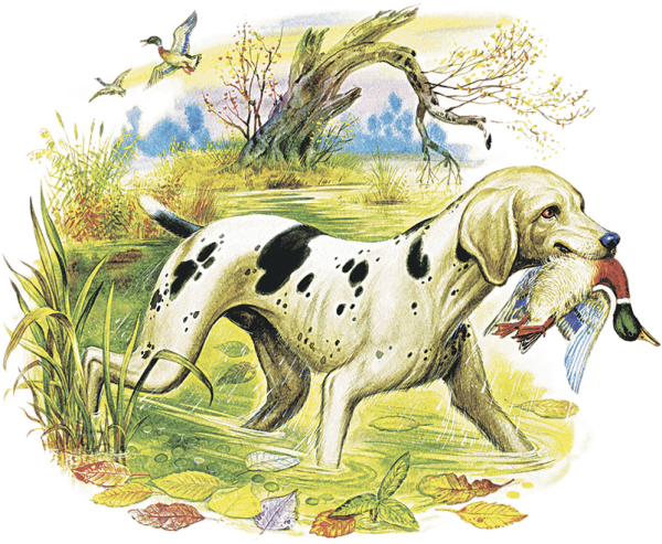 2 Марта Ушинский