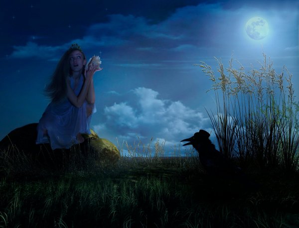 Ночь Луна девушка