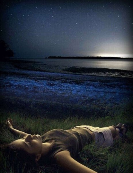 Ночь и тишина