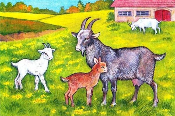 Рассматривание картины «коза с козлятами». В.В.Гербова