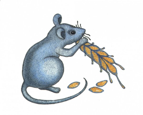 Мышка для детского сада