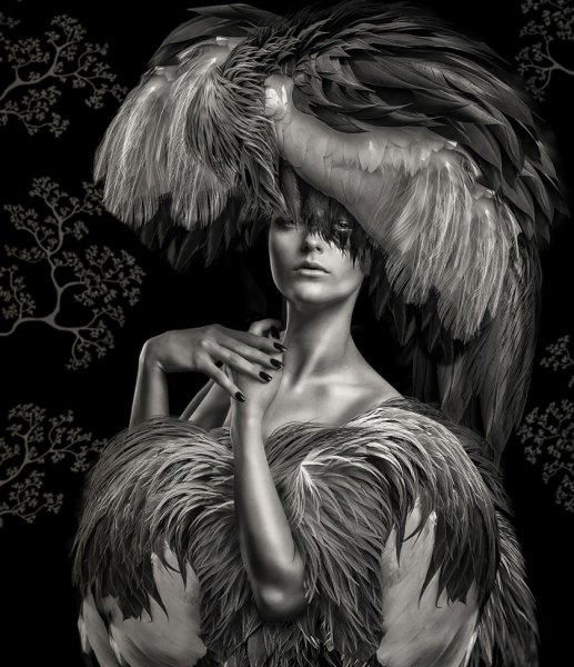 Фотограф Lee Howell