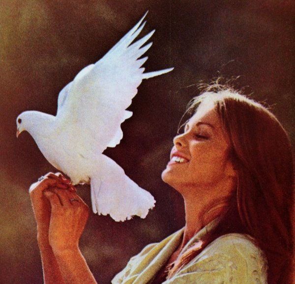 Девушка с голубями картина