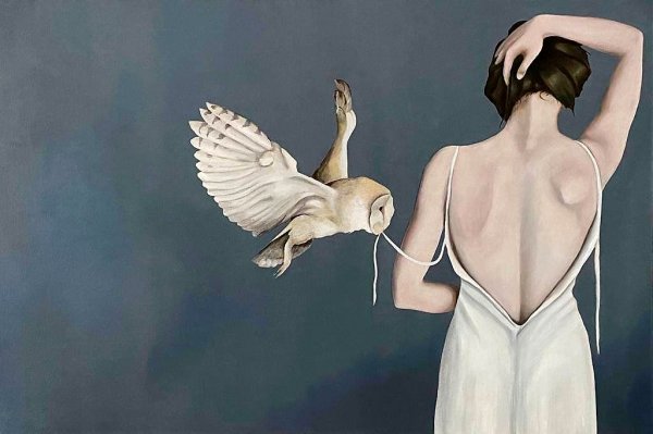 Художник Amy Judd