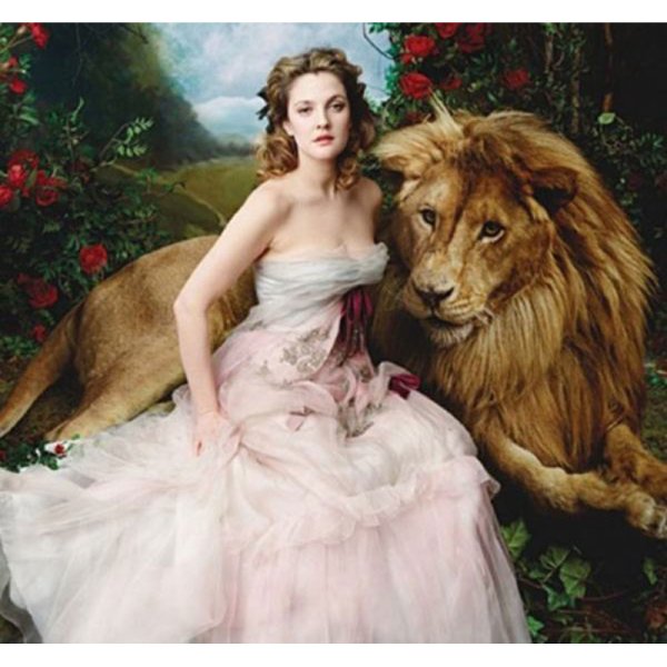 Девочка на лошади