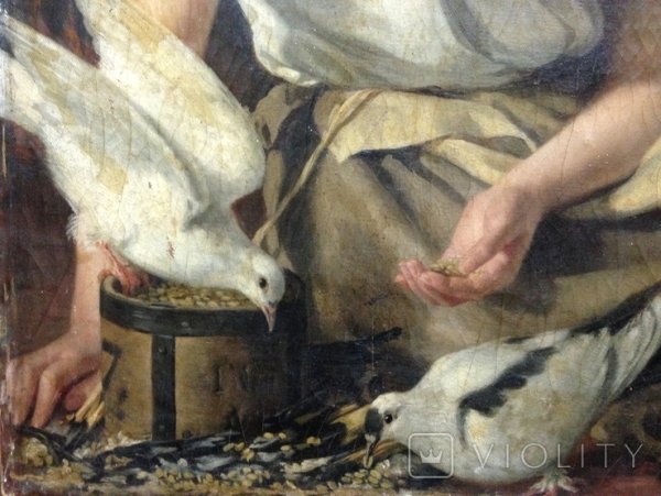 Кормят голубей живопись