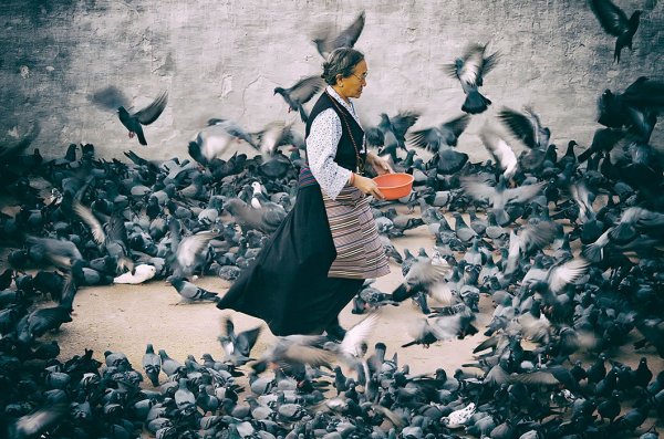 Женщина с голубями