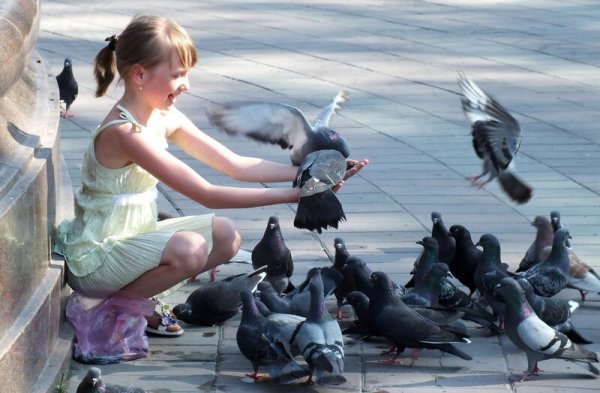 Девочка с голубем
